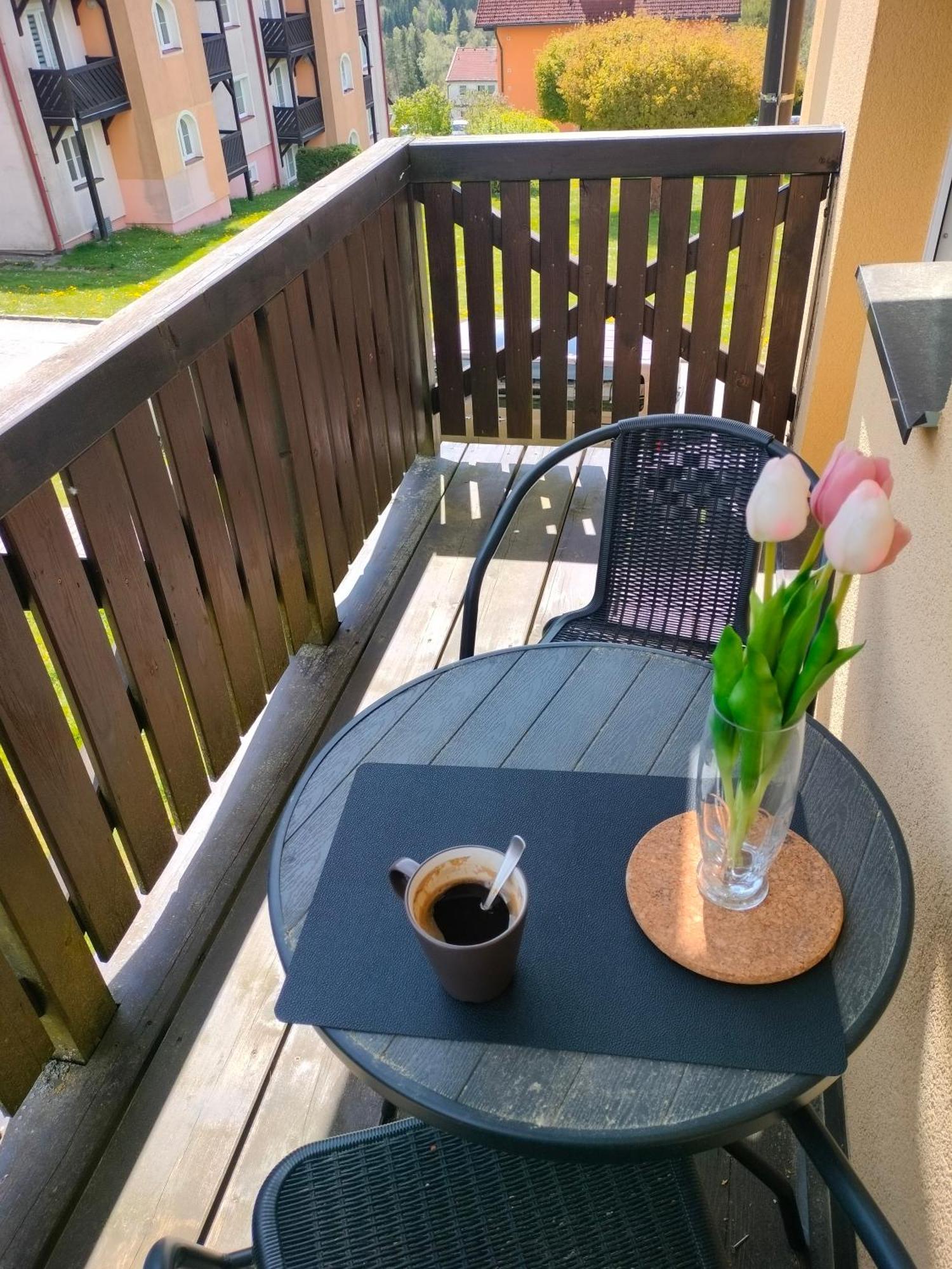 Apartman Aja - Lipno Nad Vltavou Kültér fotó